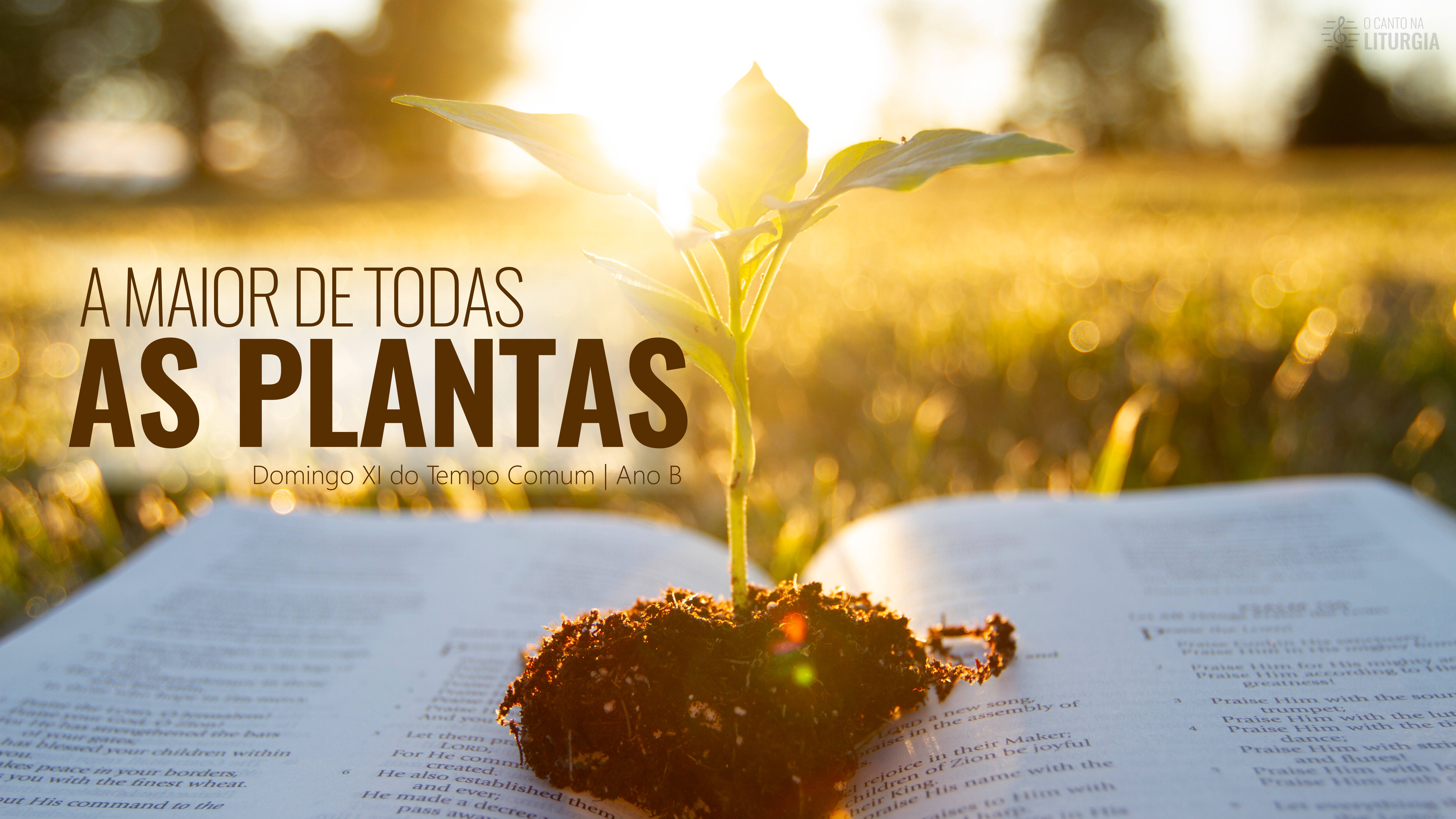 O Canto na Liturgia